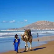 8 days from Agadir and back via desert, marrakech and essaouira
