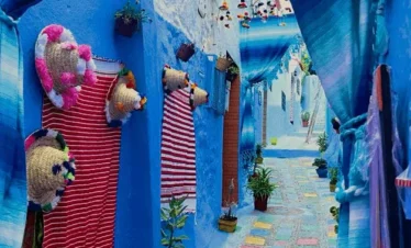 7 days from Fes to chefchaouen tangier, casablanca, essaouira and Marrakech