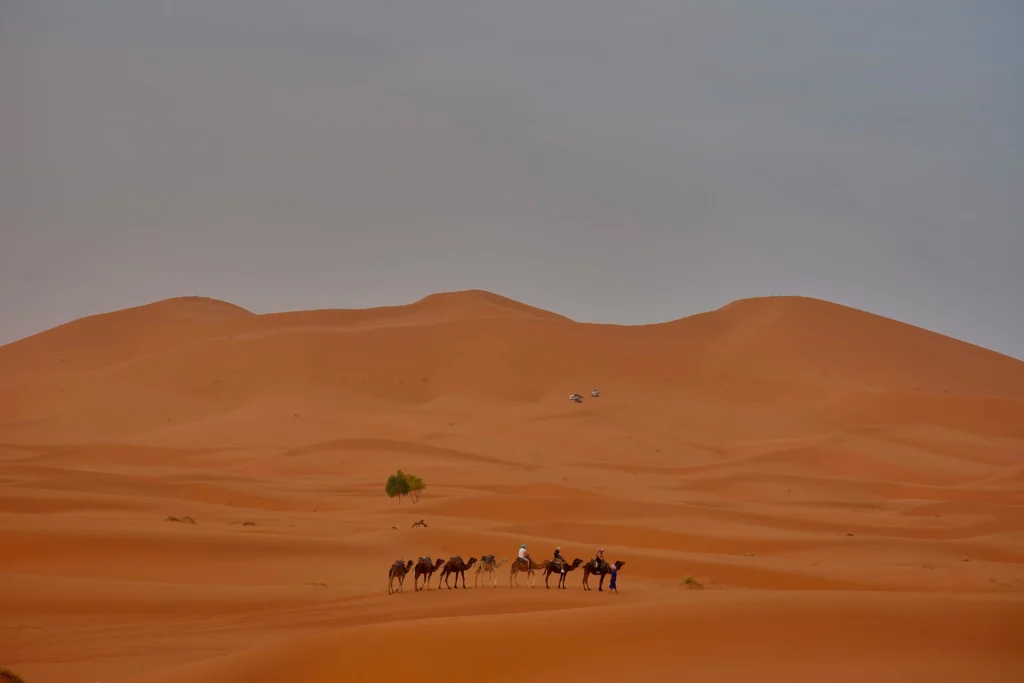 4 days from Marrakech to Fes via desert