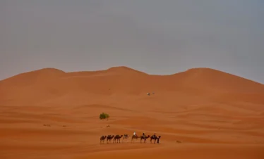 4 days from Marrakech to Fes via desert