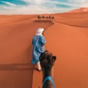 Travel with Local Experts