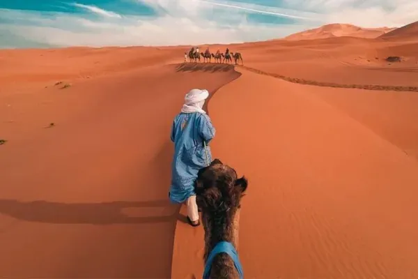 Camel Trekking & Desert Camp