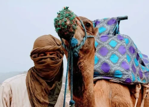 The Best Sahara Desert Tours in Morocco